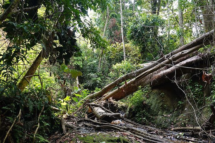 Expérience séjour d'une semaine a Luang prabang - Pierrotdelaluna