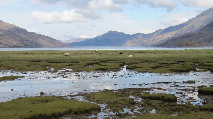 Petite rétrospective suggérée par ce carrefour . Images du Knoydart  - calamity jane