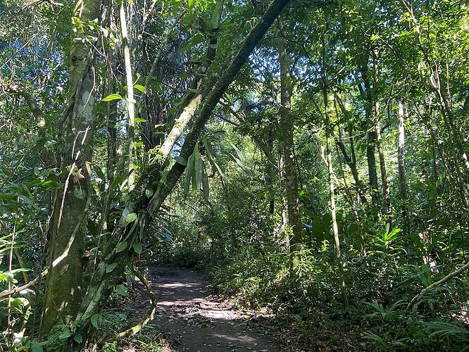 Re: Circuit en backpacker solo fin octobre 2021 au Costa Rica - Delfto