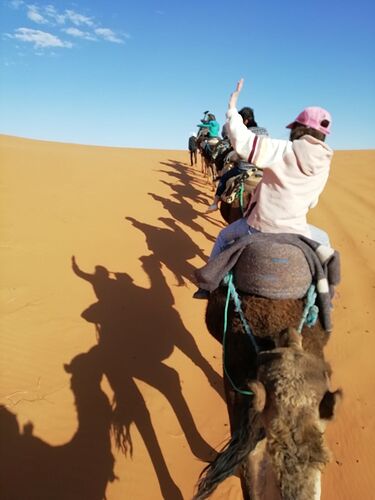 Re: En famille, de Marrakech au désert  - dami