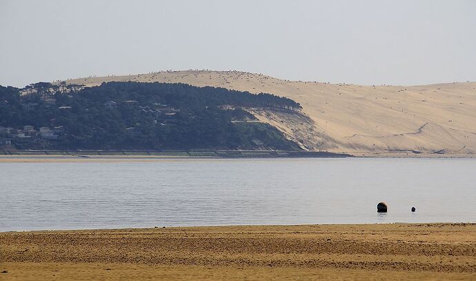 Au Cap Ferret pendant les Grandes Marées - jem