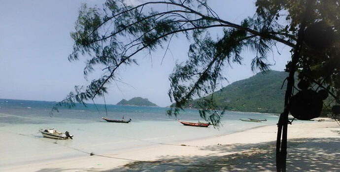 Re: Quelle île en Juin en Thaïlande : Plongée - trek - calme ? - CAMILIE-TRAVEL