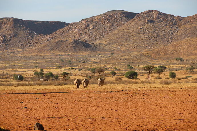 Re: La Namibie en mode tortue - Cathyves