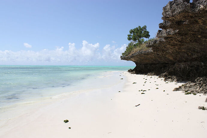 Re: 10j à Zanzibar en amoureux du 28 oct au 8 nov, où loger? - Philippe Thouvenot