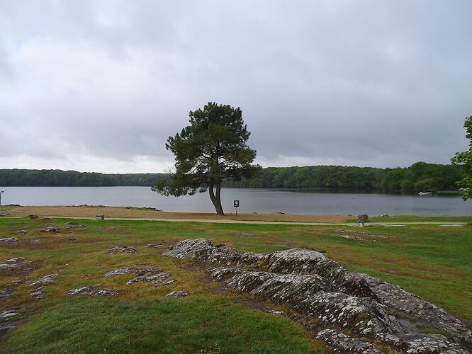 Re: Carnet de voyage, pont en Bretagne et Normandie  - Fecampois