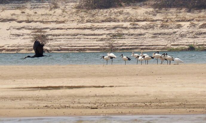 Re: NAMBOTSVIC Namibie- Botswana- Victoria Falls, 3 semaines magiques - PATOUTAILLE