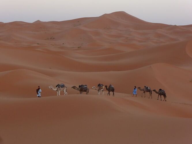 Re: Au retour de notre voyage en famille dans le sud du Maroc  - Kelyah