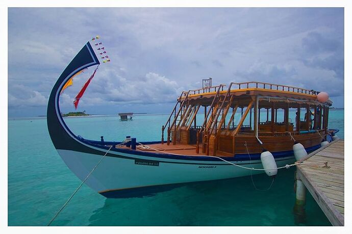 Prix approximatif pour une plongée avec les raies mangas et requins  - Philomaldives Guide Safaris