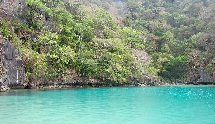 Re: Des Visayas à Palawan, retour de 3 semaines magnifiques! - PATOUTAILLE