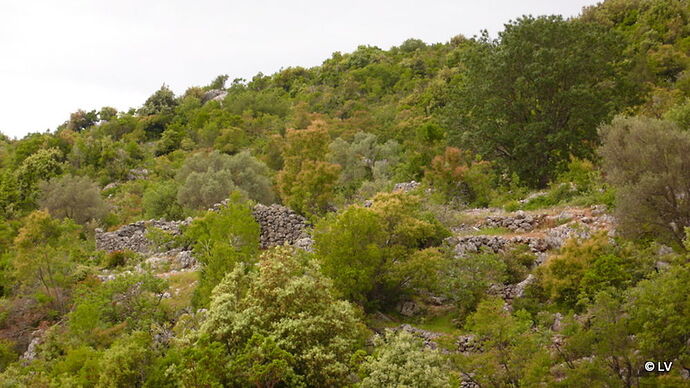 Avis aux spécialistes : Ruines de terrasses en pierres vues en bord de piste en montagne dans le Péloponnèse. Aucune info ! - LaVoileuse
