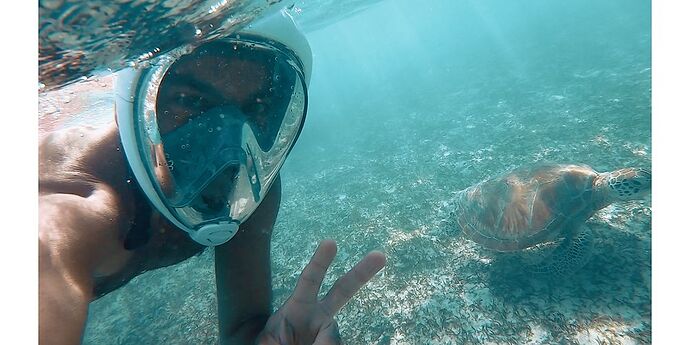 Quand nager avec les tortues à Gili Trawangan devient possible - Indonesie - the-chris-s-Adventures