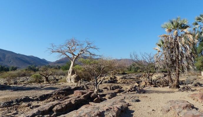 Re: 3 fabuleuses semaines Namibiennes- juillet 2021 - Patbillvoyage