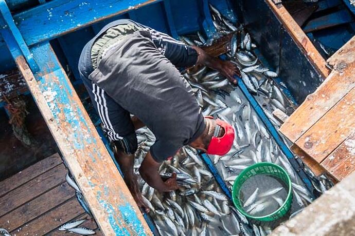 5 jours à Essaouira, une des perles de l'Atlantique, récit et photos - Sonia-Fatima Chaoui