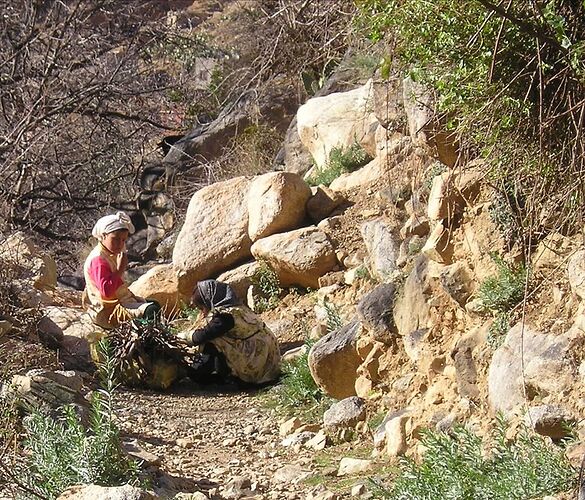 Re: Montagnes, oasis, kasbahs du Maroc  - mimidada