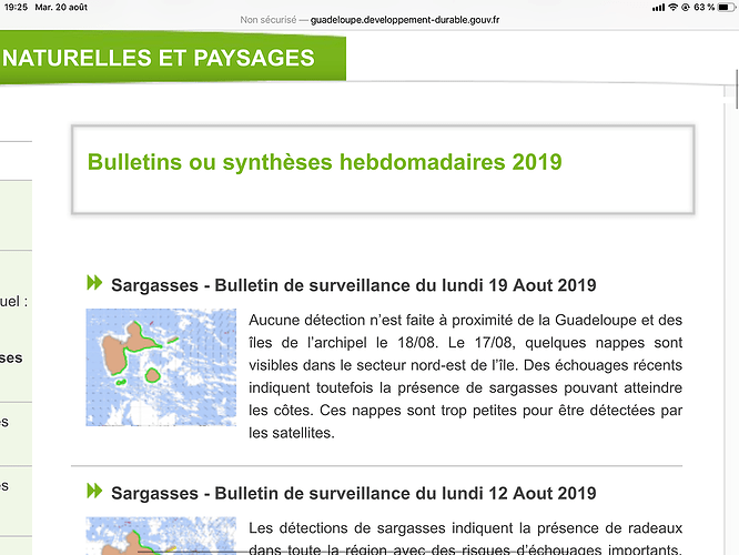 Re: Sargasses ou pas en Guadeloupe ? - Marie Noëlle 87