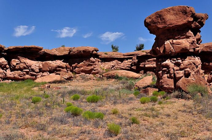 Recapture Pocket, parc de Hovenweep et ruines de Tower House - chellmi