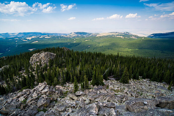 Lundi 31 Juillet – Bighorn Forest... et la surprise du chef! - darth