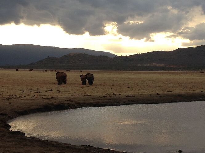 Re: Waltz Tours Safaris au Kenya - mclionne