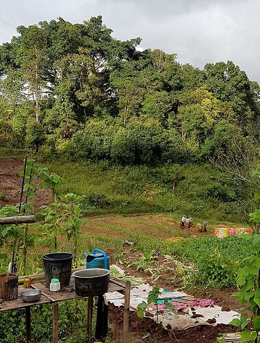 Re: Deux semaines de rêve en Birmanie en novembre 2017 - chellmi