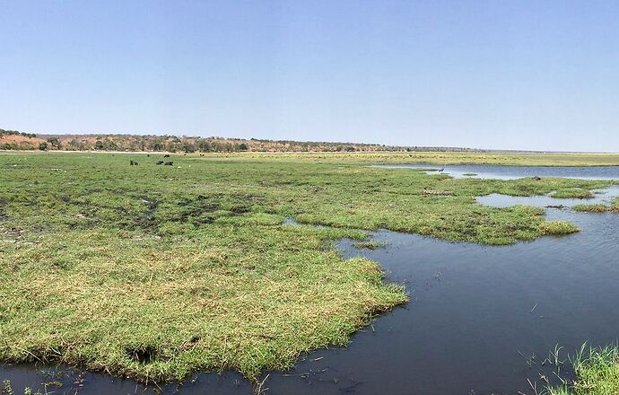 Re: NAMBOTSVIC Namibie- Botswana- Victoria Falls, 3 semaines magiques - PATOUTAILLE