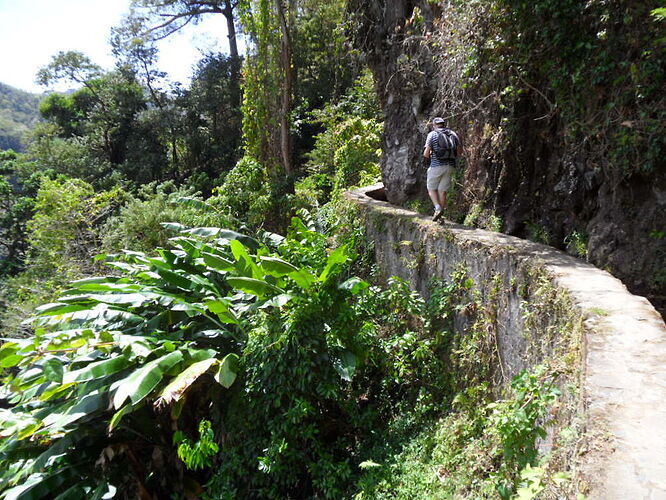 Re: A faire et à voir absolument en martinique - quinqua voyageuse