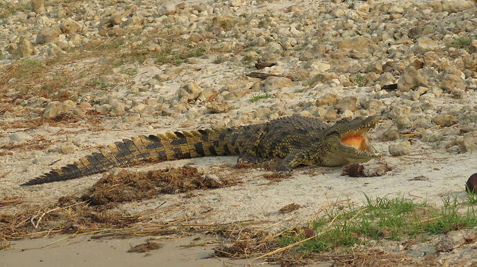 Re: NAMBOTSVIC Namibie- Botswana- Victoria Falls, 3 semaines magiques - PATOUTAILLE