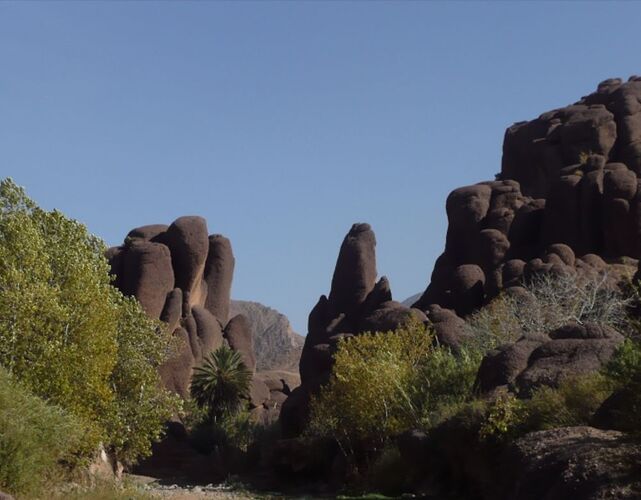 Re: Montagnes, oasis, kasbahs du Maroc  - mimidada