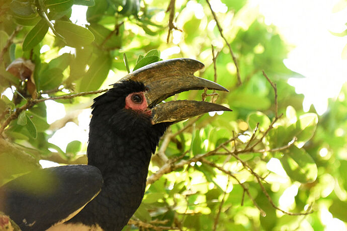 Re: Au paradis ! Compte rendu d'un voyage de 2 petites semaines en Afrique du Sud - L-argonnais Re: Au paradis ! Compte rendu d'un voyage de 2 petites semaines en Afrique du Sud - L-argonnais