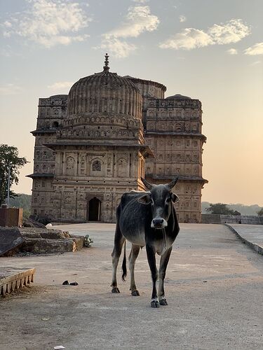 15 jours en Inde avec chauffeur - Tifilou1023