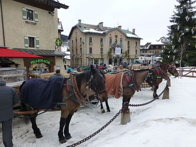 Re: Carnet de voyage Première fois au Ski à Praz-sur-Arly - Fecampois