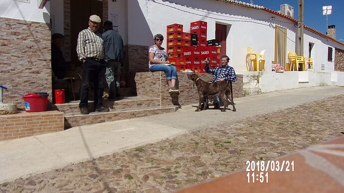 Re: Soleil de Février au Portugal 2018 - soleilen62