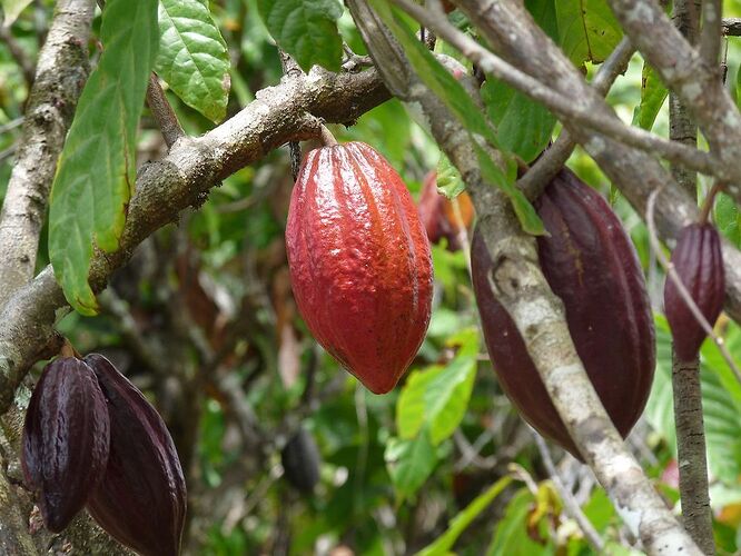 1 mois à Sulawesi en photo septembre 2019 - desbleu