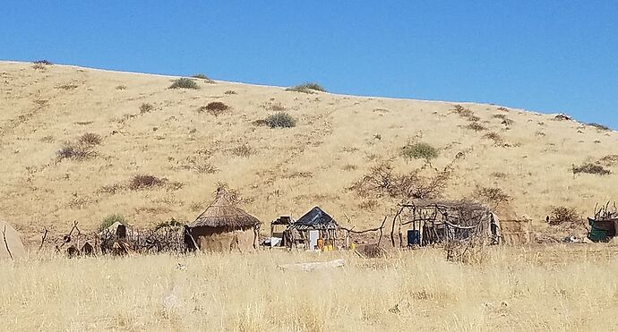 La Namibie en mode lièvre  - sevlh