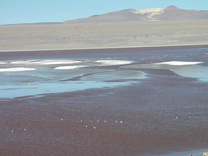 Re: 1 mois et demi Pérou - Bolivie - Chili - Ile de Pâques - Terre de Feu - yensabai Re: 1 mois et demi Pérou - Bolivie - Chili - Ile de Pâques - Terre de Feu - yensabai