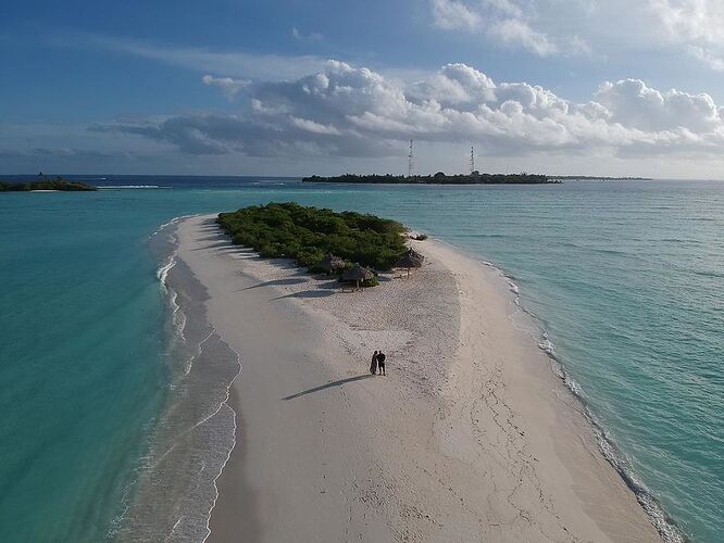 Re: Logement et activités plongée aux Maldives sur îles habitables  - Philomaldives Ex guide Safaris