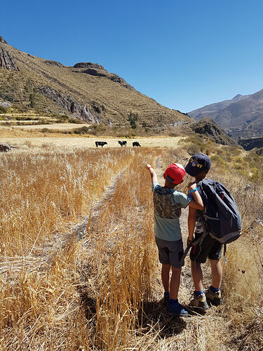 Re: Voyage avec 3 enfants, 23 jours au Pérou pour débuter notre tour du monde en Juillet 2019 - Milou38