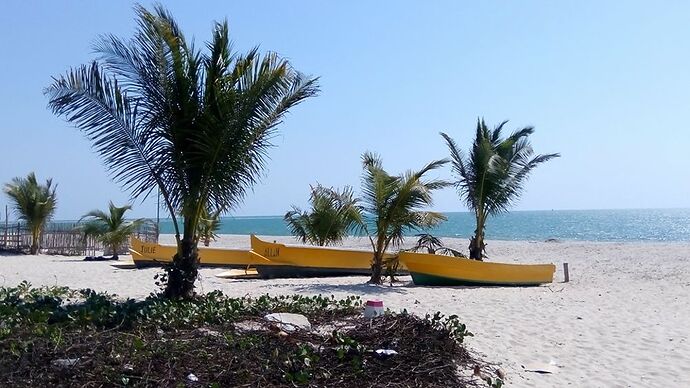23 jours à Madagascar: Tana, les baobabs, les tsingy, Andasibe, Les Pangalanes, St Marie, Antsirabe - Lezard26 23 jours à Madagascar: Tana, les baobabs, les tsingy, Andasibe, Les Pangalanes, St Marie, Antsirabe - Lezard26
