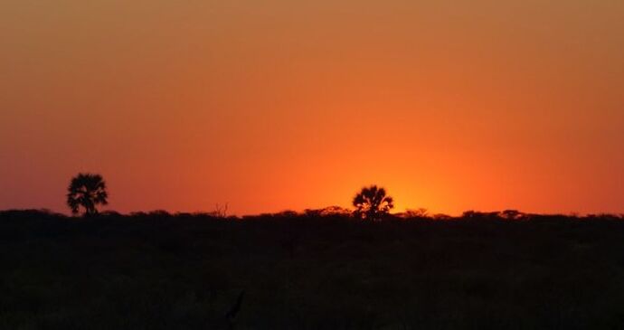 Re: 3 fabuleuses semaines Namibiennes- juillet 2021 - Patbillvoyage