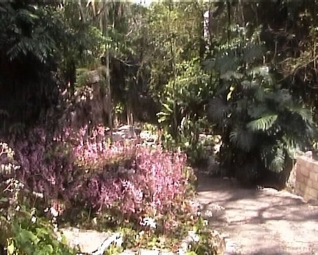 Soroa la cascade et le jardin aux Orchidées - JIMINII