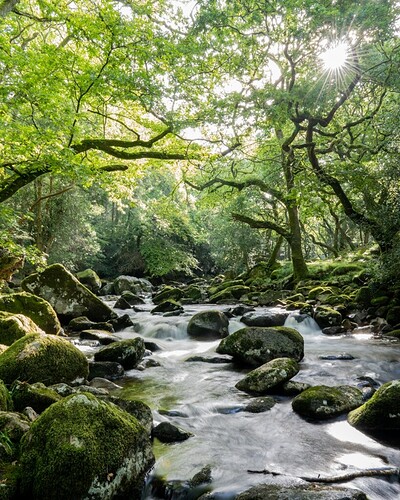 les Cornouailles et Dartmoor national park - rosie31