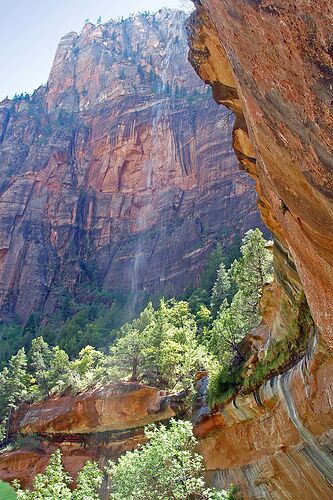 si vous faites une étape à Zion NP - Hiacinthe