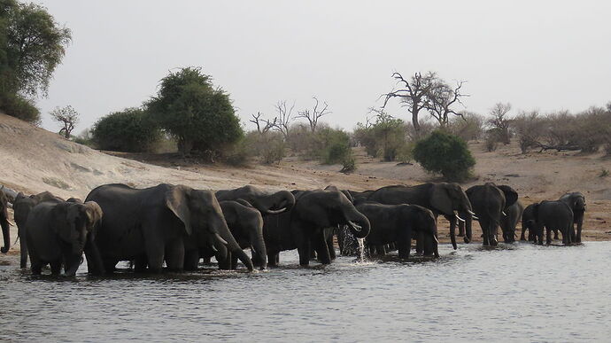 Re: NAMBOTSVIC Namibie- Botswana- Victoria Falls, 3 semaines magiques - PATOUTAILLE