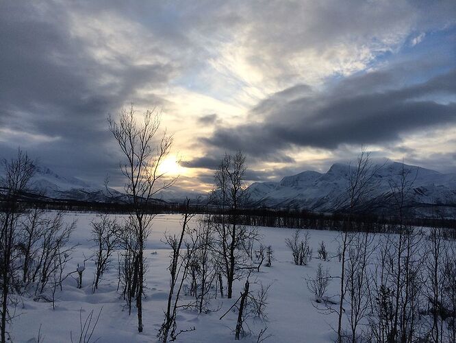 Retour sur une semaine passée au nord de la Norvège en février - Pimprennelle33 Retour sur une semaine passée au nord de la Norvège en février - Pimprennelle33
