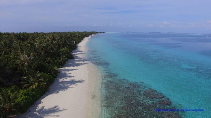séjour sur Ari Atoll - Dhigurah - Philomaldives Ex guide Safaris