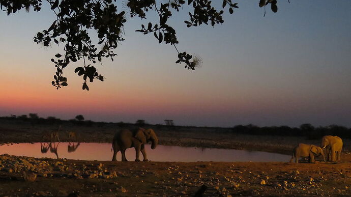 Re: Où dort-on avec son 4x4 en Namibie ? - PATOUTAILLE