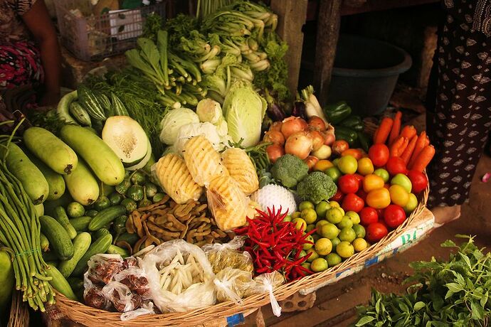 Bonjour Onigi - IzA-Cambodia