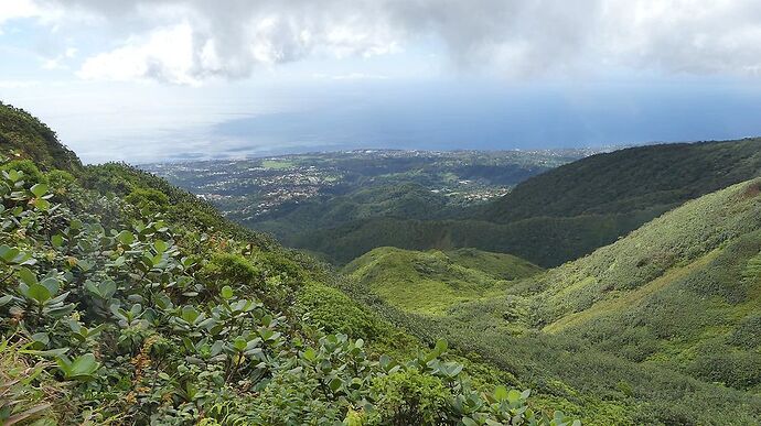 Re: Retour 2 semaines en Guadeloupe - michele87