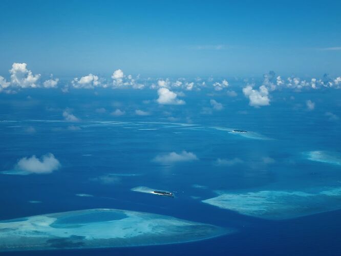 Re: Les meilleurs iles pour faire du snorkeling fin mars/debut avril aux Maldives - Francois942