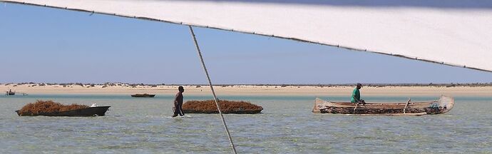 Re: Côte ouest de Tuléar à Morondava - worlder56