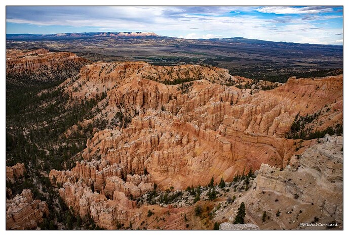BRYCE (245)